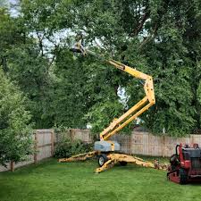 Grass Overseeding in Hilbert, WI